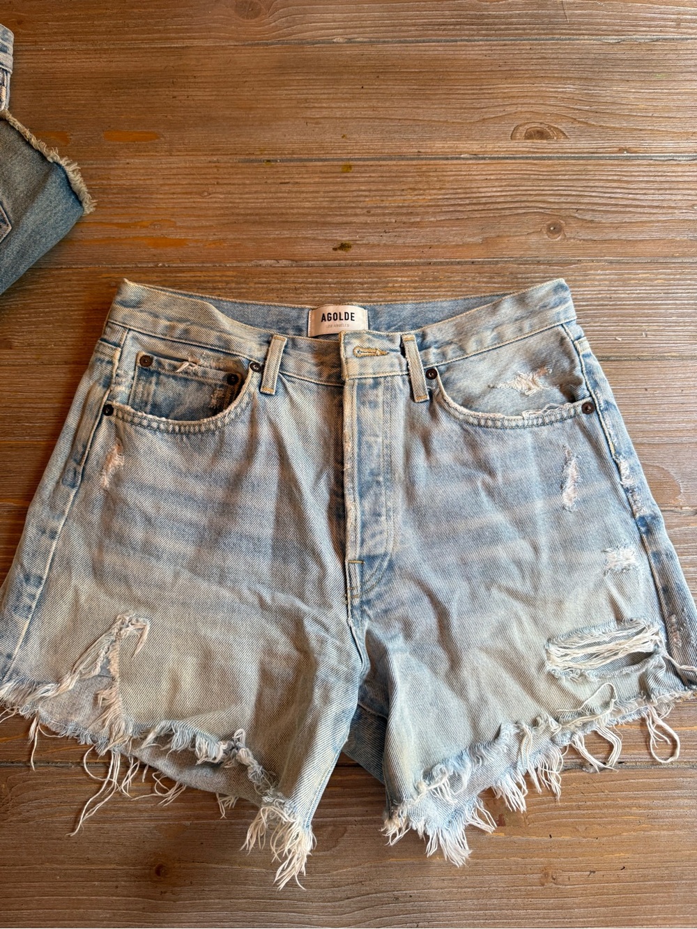 Agolde PARKER long shorts